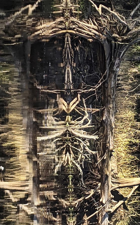Original 8e1b9a1c ae77 4b93 b9a6