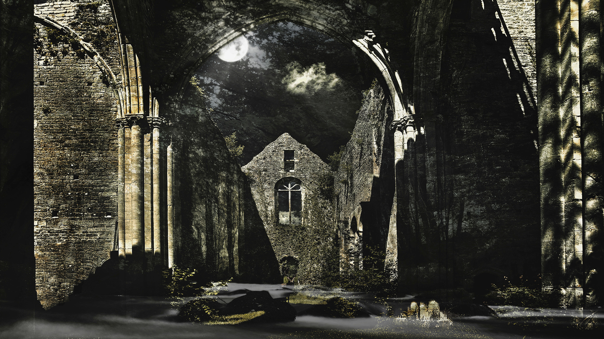 Crépusculaire Night Symphony 1