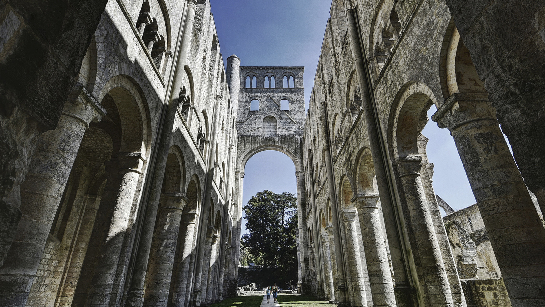 Abbaye de Jumieges Normandie1